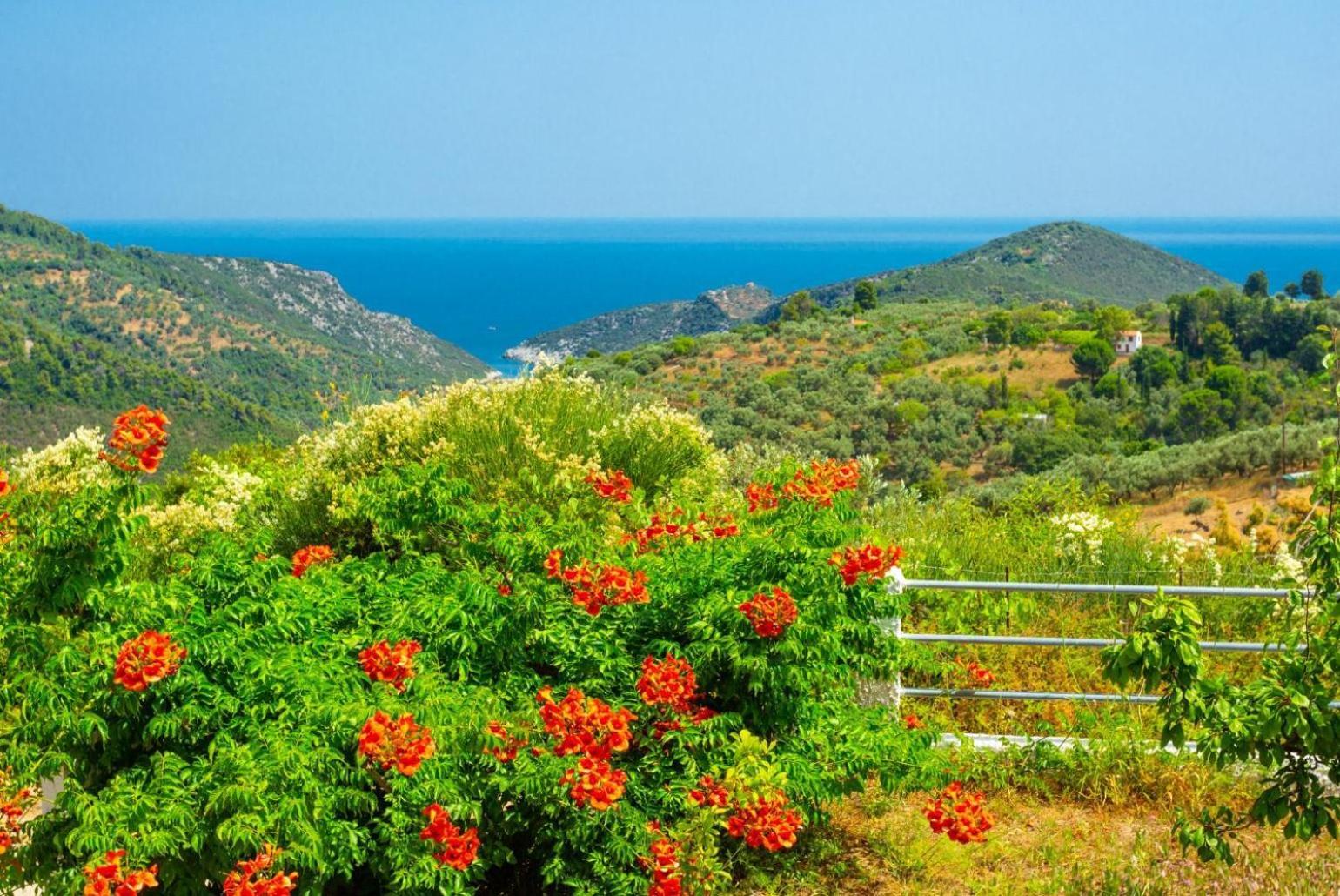 Villa Glafki Panormos  Luaran gambar